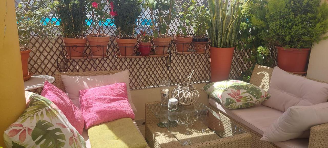 Casablanca Penthouse Apartment With Private Roof Terrace 70M2 Torrevieja Eksteriør billede